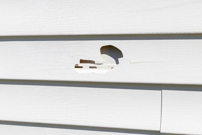 Vinyl Siding Repair Image 8