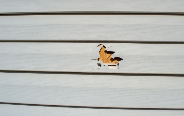 Siding Hole Repair in Annapolis