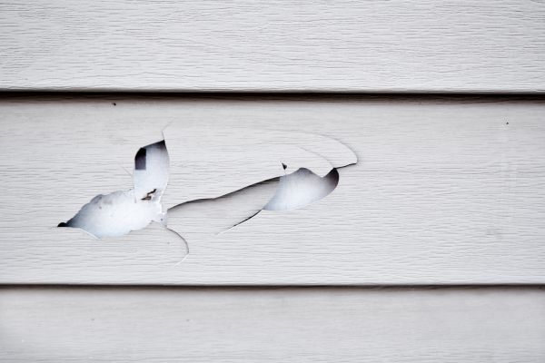 Siding Leak Repair in Annapolis