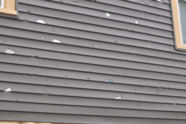 Damaged Siding Replacement in Annapolis